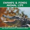 Swamps & Ponds Animal Life