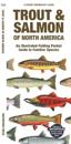 Trout & Salmon of North America