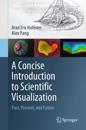 Concise Introduction to Scientific Visualization