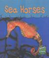 Sea Life: Sea Horses