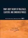Many-body Theory Of Molecules, Clusters And Condensed Phases