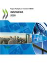 Kajian Kebijakan Investasi OECD Indonesia 2020