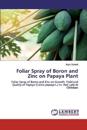 Foliar Spray of Boron and Zinc on Papaya Plant