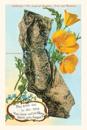The Vintage Journal This little Dot, Map of California, Poppies