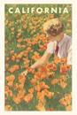 The Vintage Journal Woman sitting in Field of California Poppies