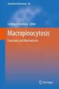 Macropinocytosis