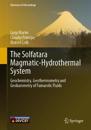 The Solfatara Magmatic-Hydrothermal System