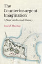 The Counterinsurgent Imagination