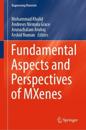 Fundamental Aspects and Perspectives of MXenes