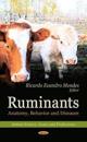 Ruminants
