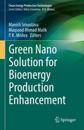 Green Nano Solution for Bioenergy Production Enhancement
