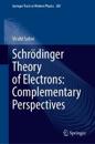 Schrödinger Theory of Electrons: Complementary Perspectives