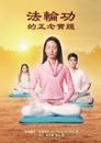 ???????? Mindful Practice of Falun Gong (Chinese edition)