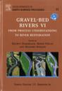 Gravel Bed Rivers 6