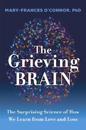 The Grieving Brain