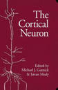 The Cortical Neuron