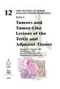 Tumors and Tumor-Like Lesions of the Testis and Adjacent Tissues