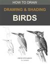 Drawing and shading Birds