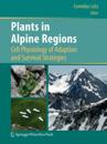 Plants in Alpine Regions