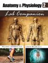 Anatomy and Physiology 2 Lab Companion, Preliminary Edition
