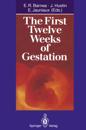 First Twelve Weeks of Gestation
