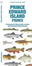 Prince Edward Island Fishes