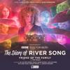Diary of River Song S.11: Friend of the Family