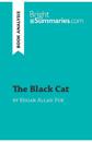 The Black Cat by Edgar Allan Poe (Book Analysis)