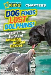 Dog Finds Lost Dolphins