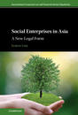 Social Enterprises in Asia