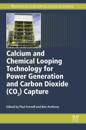 Calcium and Chemical Looping Technology for Power Generation and Carbon Dioxide (CO2) Capture