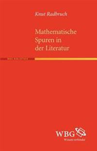 Mathematische Spuren in Der Literatur