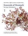 Seaweeds of Denmark