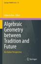 Algebraic Geometry between Tradition and Future