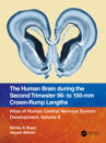 The Human Brain during the Second Trimester 96– to 150–mm Crown-Rump Lengths