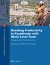Boosting Productivity in Kazakhstan with Micro-Level Tools