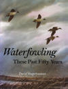 Waterfowling These Past Fifty Years