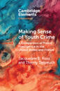 Making Sense of Youth Crime