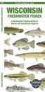 Wisconsin Freshwater Fishes