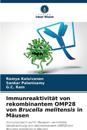 Immunreaktivität von rekombinantem OMP28 von Brucella melitensis in Mäusen