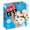 Bad Cat Page-A-Day Calendar 2024