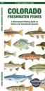 Colorado Freshwater Fishes