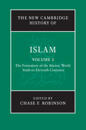 The New Cambridge History of Islam: Volume 1, The Formation of the Islamic World, Sixth to Eleventh Centuries