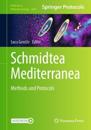 Schmidtea mediterranea