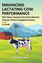Enhancing Lactating Cow Performance With Beta-Carotene Enriched Mineral Vitamin Premix Supplementation