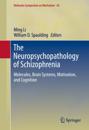 Neuropsychopathology of Schizophrenia