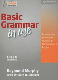 Basic Grammar in Use without Answers
