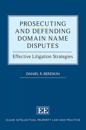 Prosecuting and Defending Domain Name Disputes