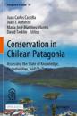 Conservation in Chilean Patagonia