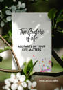 The Confetti of life : All parts of your life matters
